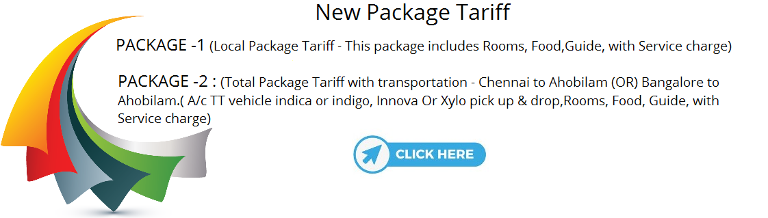 New Package Tariff